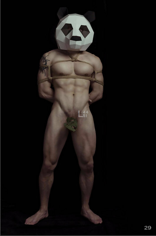 Next Image >>