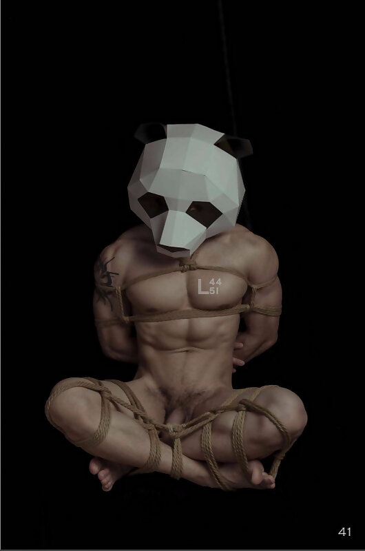 Next Image >>