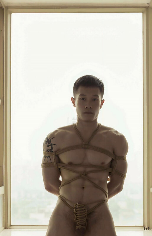 Next Image >>