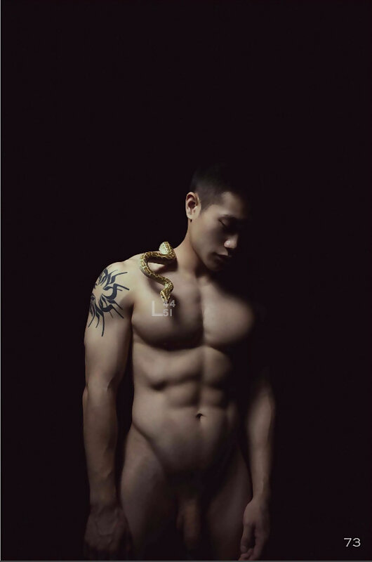 Next Image >>