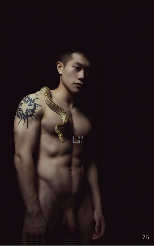 Next Image >>