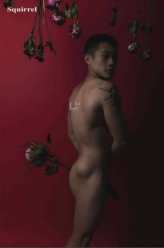 Next Image >>