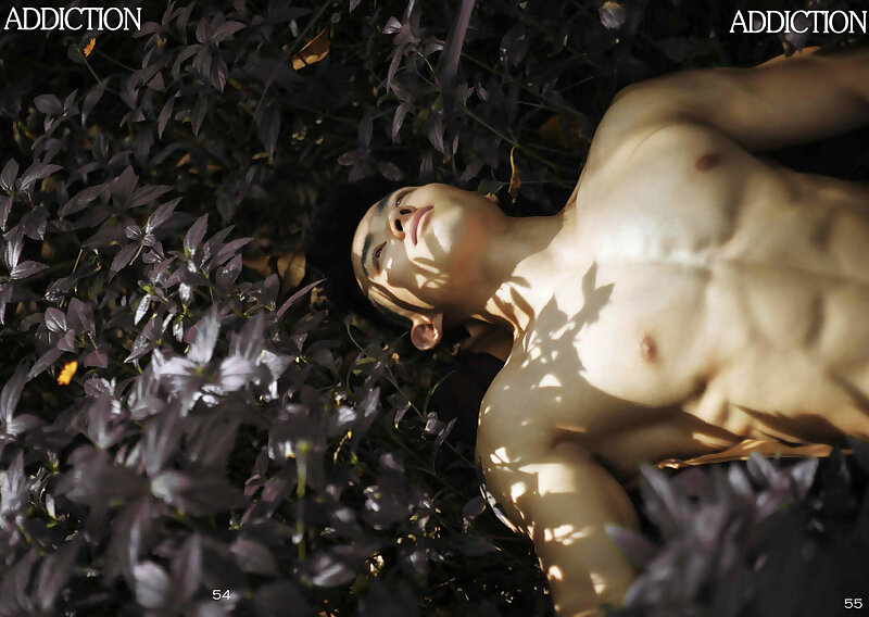 Next Image >>