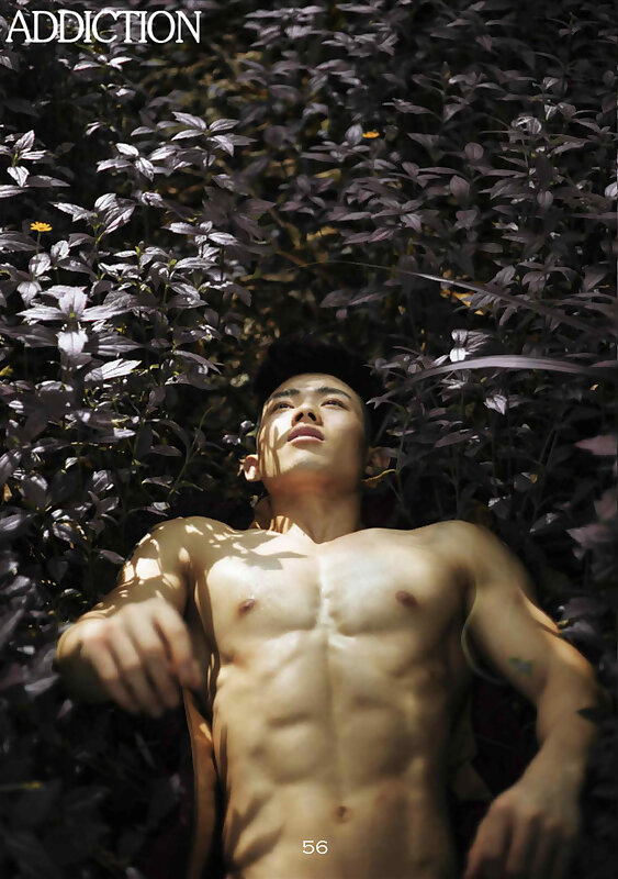 Next Image >>