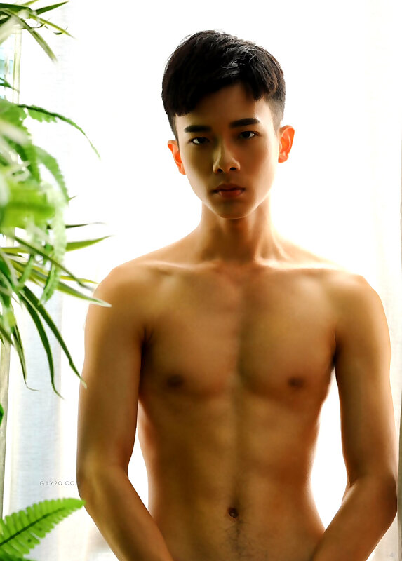 Next Image >>
