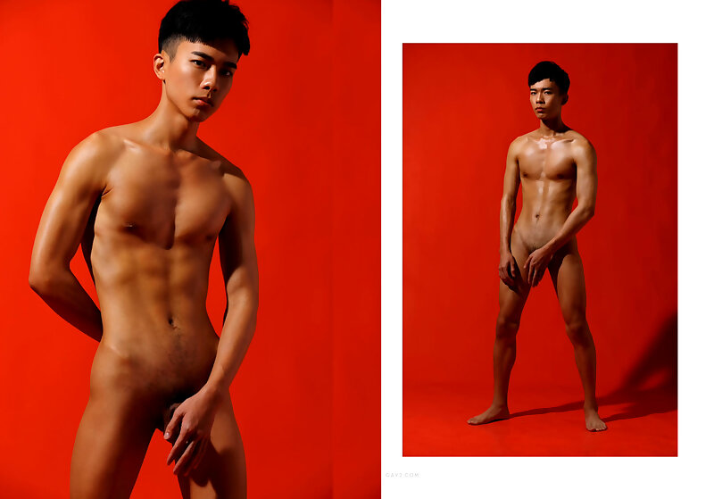 Next Image >>