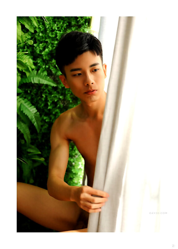 Next Image >>