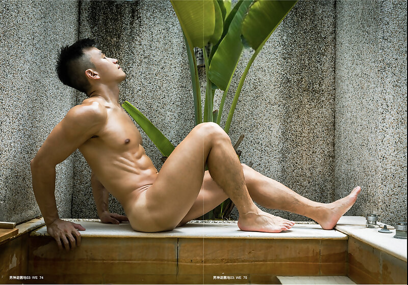 Next Image >>