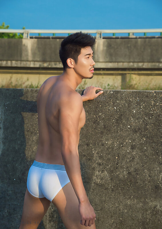 Next Image >>