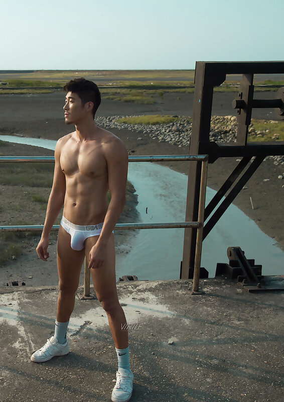 Next Image >>