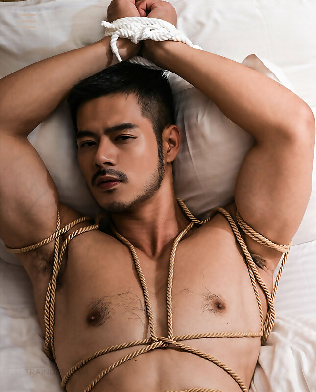 Next Image >>