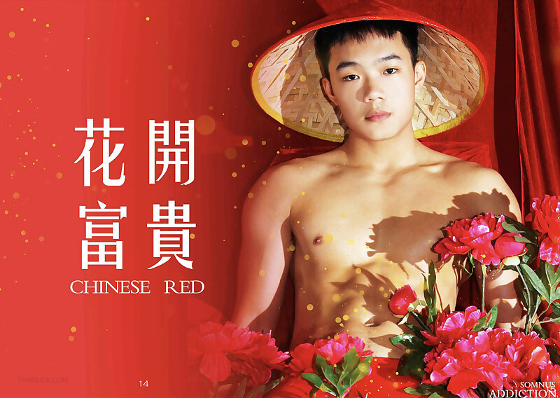Next Image >>