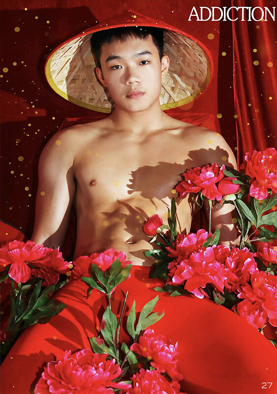 Next Image >>