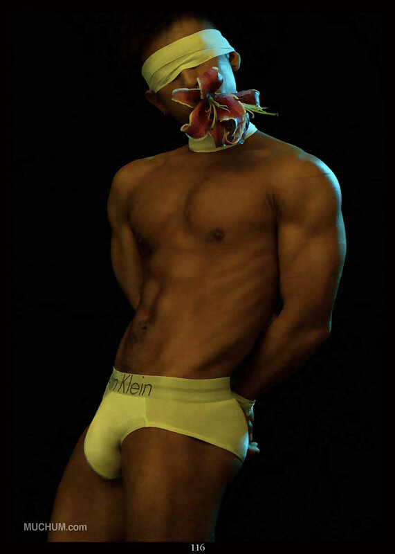 Next Image >>