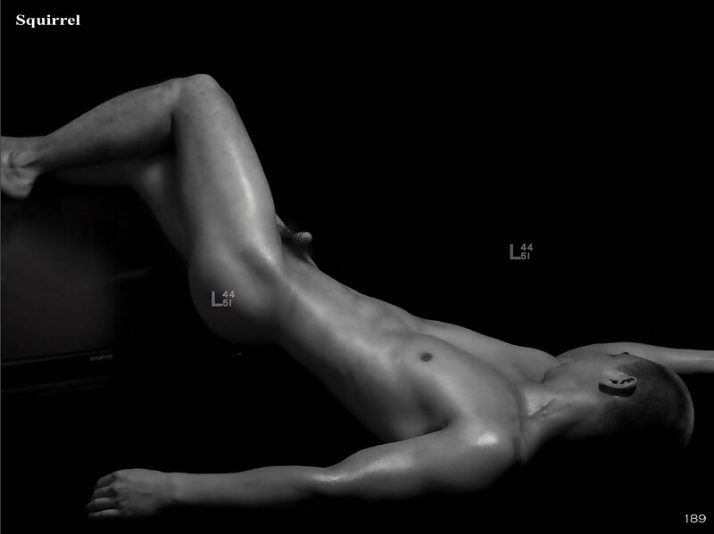 Next Image >>