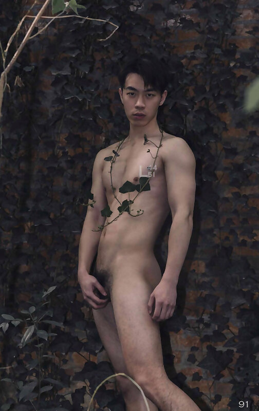 Next Image >>