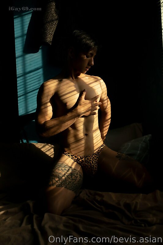 Next Image >>