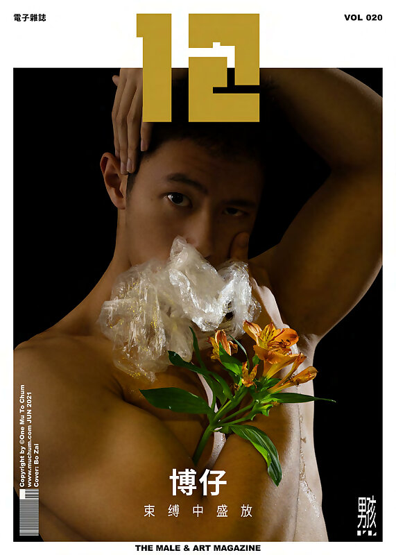 Next Image >>