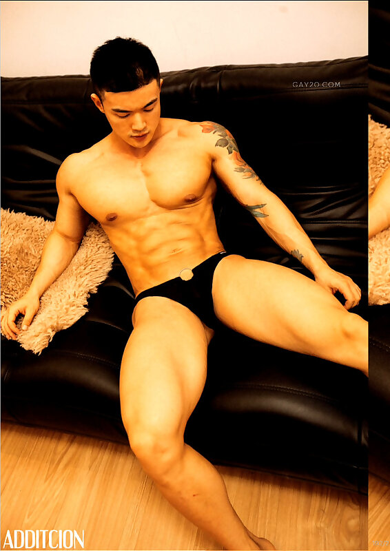 Next Image >>
