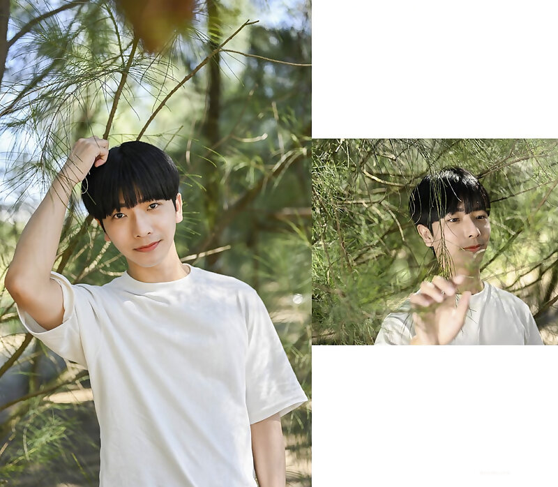 Next Image >>
