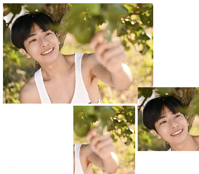Next Image >>