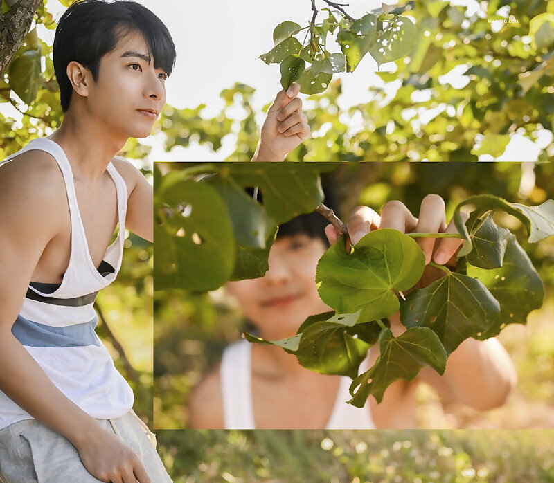 Next Image >>