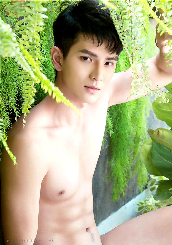 Next Image >>
