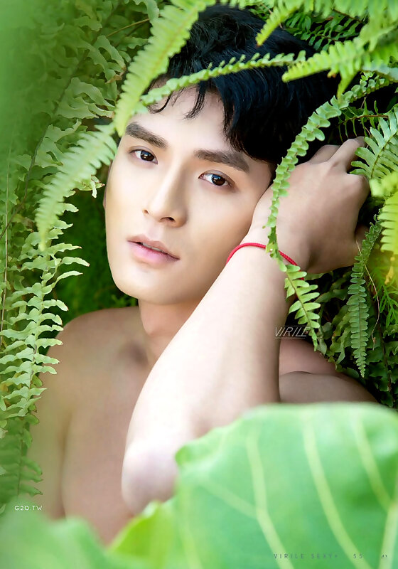 Next Image >>