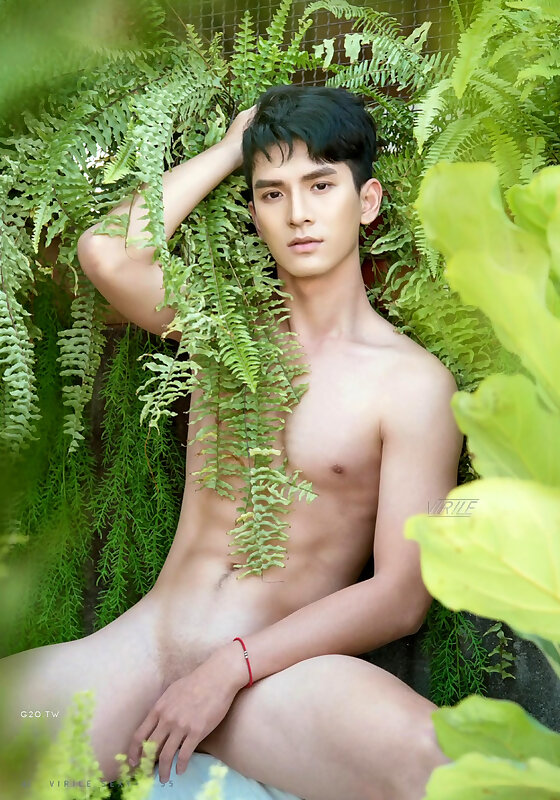 Next Image >>