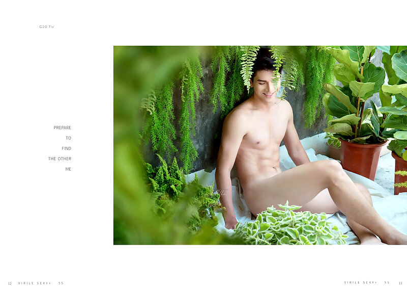 Next Image >>