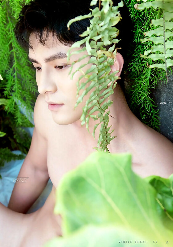 Next Image >>