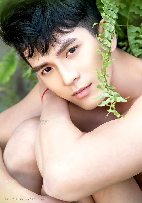 Next Image >>