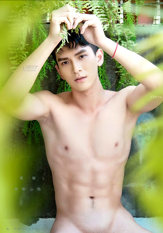 Next Image >>