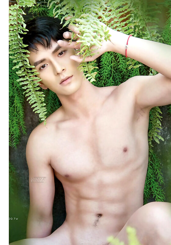 Next Image >>