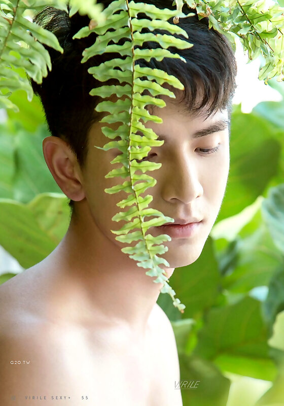 Next Image >>