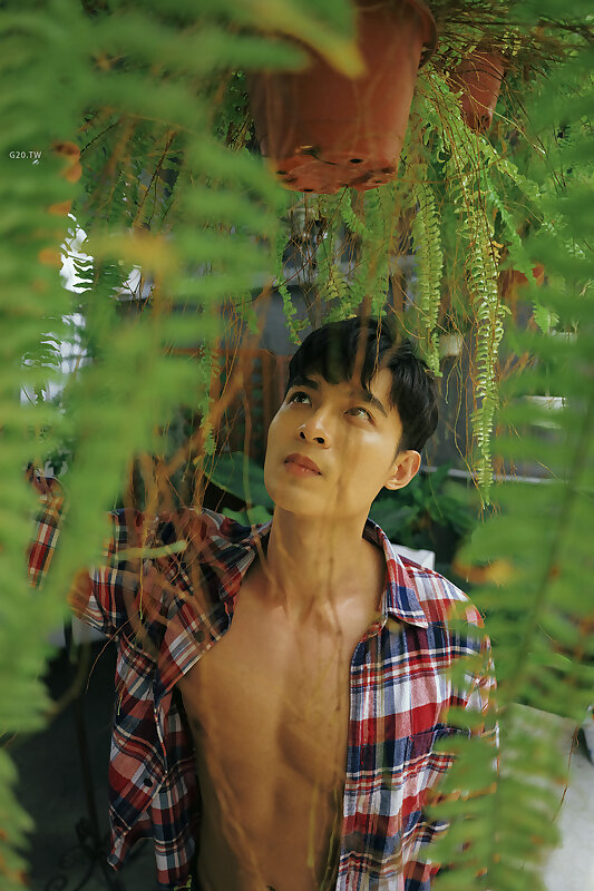 Next Image >>