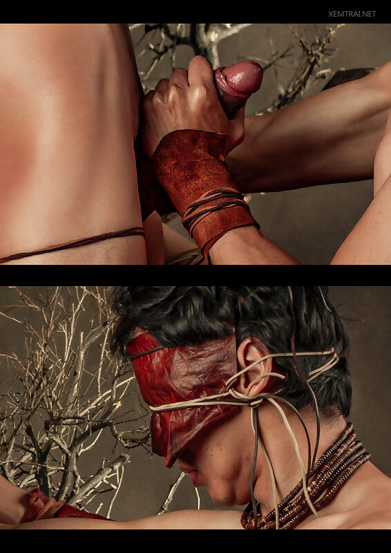 Next Image >>