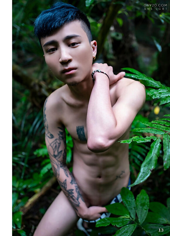 Next Image >>
