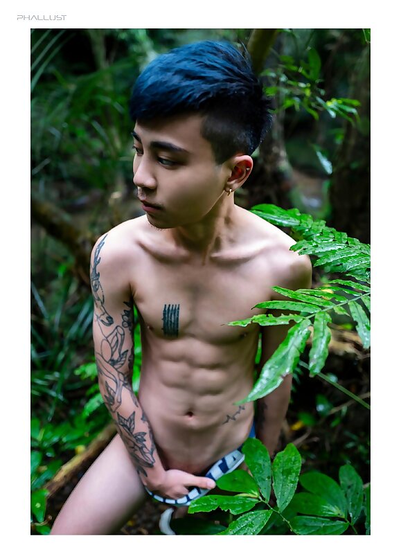 Next Image >>