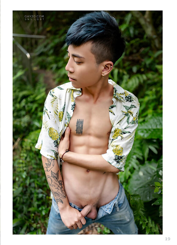 Next Image >>