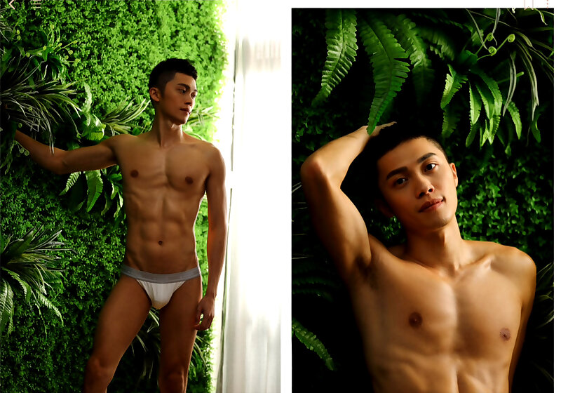 Next Image >>