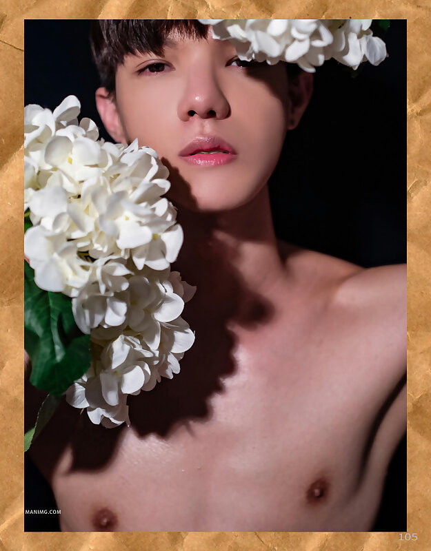 Next Image >>