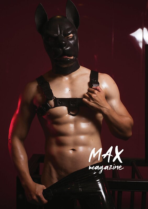Next Image >>