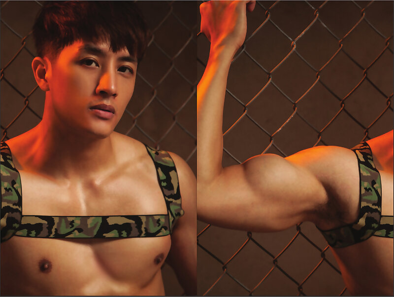 Next Image >>