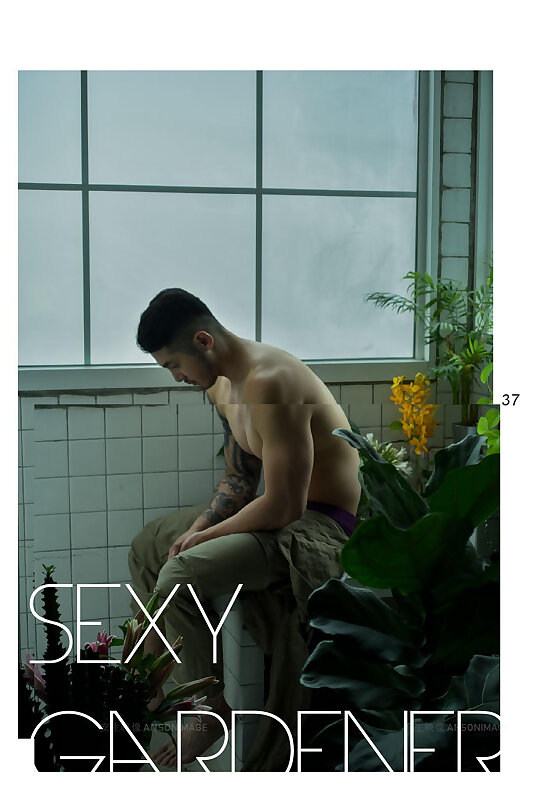 Next Image >>