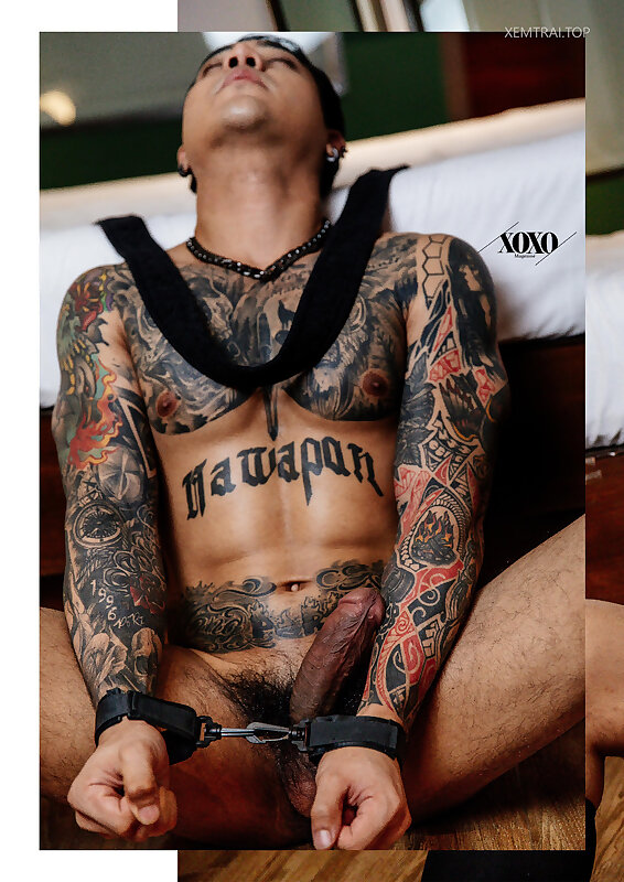 Next Image >>