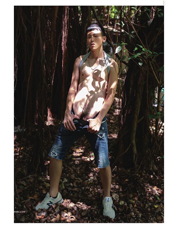 Next Image >>