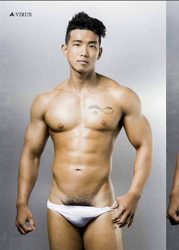 Next Image >>