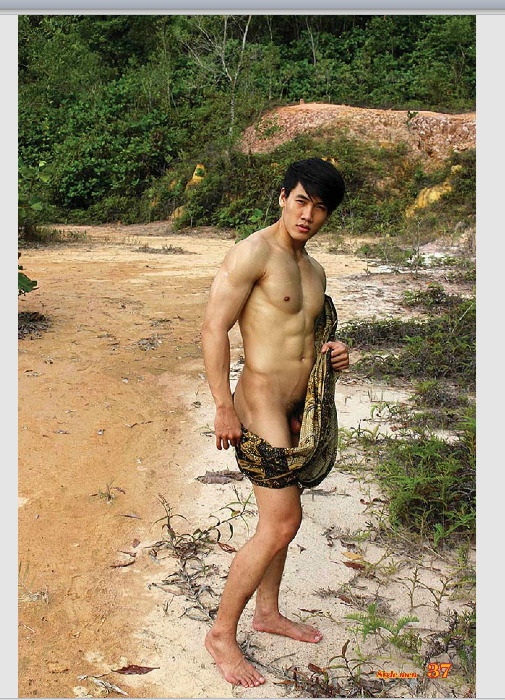 Next Image >>