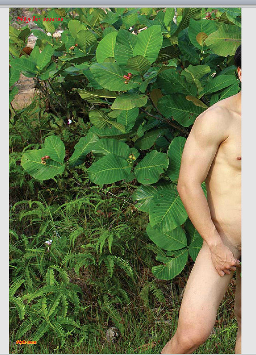 Next Image >>